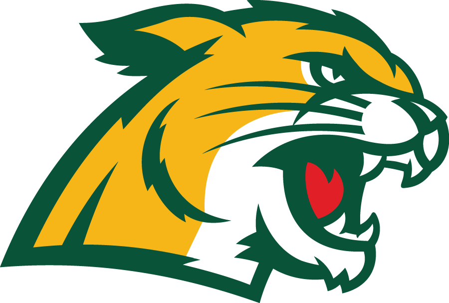 Northern Michigan Wildcats 2016-Pres Secondary Logo iron on transfers for T-shirts